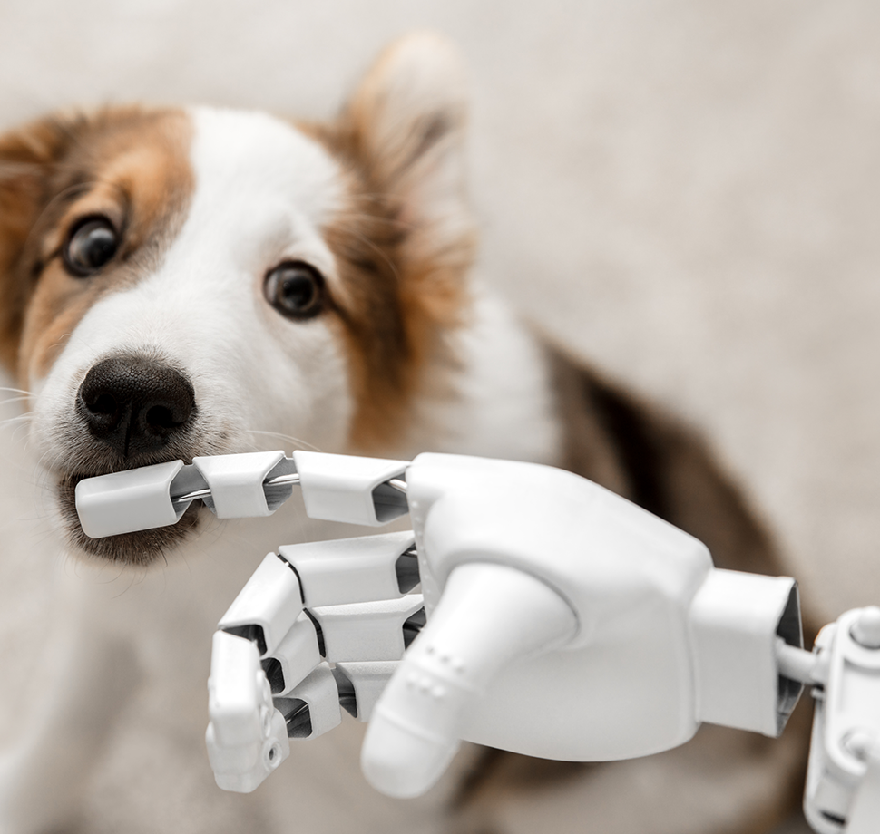 Eine Roboterhand streichelt einen Hund.