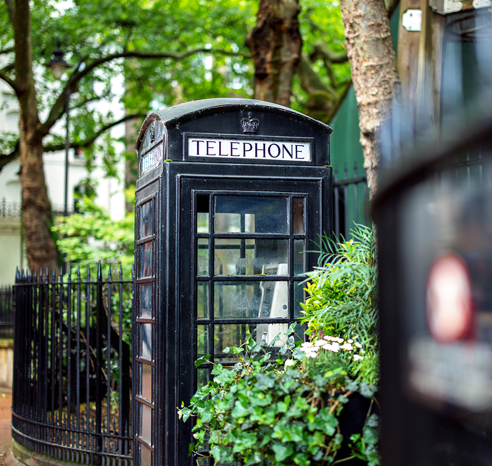 Eine schwarze britische Telefonzelle ist zwischen Gebüsch zu sehen.