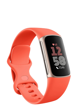 FitBit Charge 6